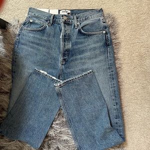 Agolde 90’s Pinch Waist High Rise Straight Leg Jeans